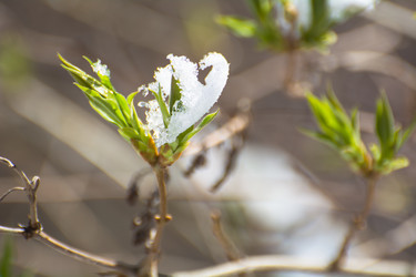 Similar image 21769700