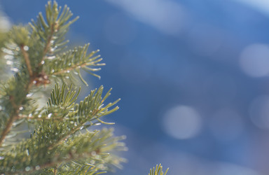 Similar image 21769706