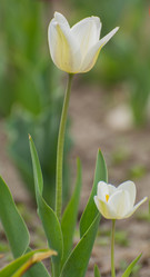 Similar image 21769707