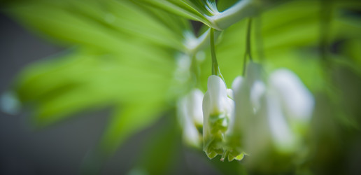 Similar image 21769708