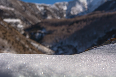 Similar image 21769709