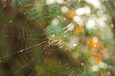 Similar image 21769712