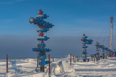 Similar image 21769717