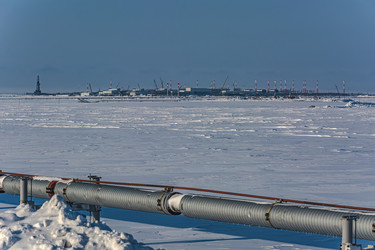 Similar image 21769726