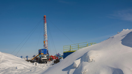 Similar image 21769739