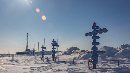 Similar image 21769744