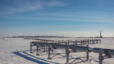 Similar image 21769745