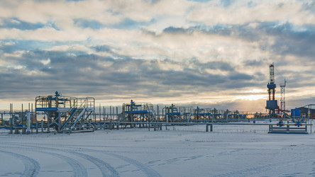 Similar image 21769748