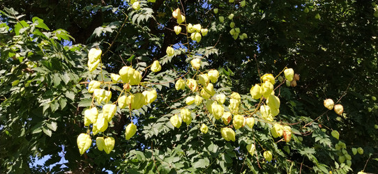 Similar image 21771898