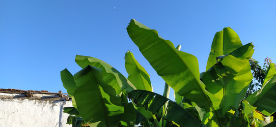 Similar image 21771900