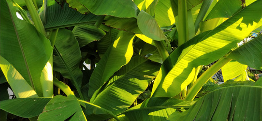 Similar image 21771904