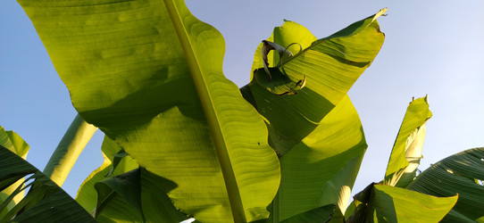 Similar image 21771905