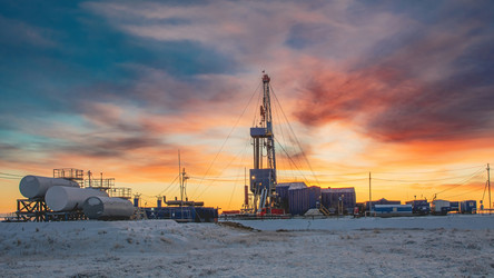 Similar image 21769754