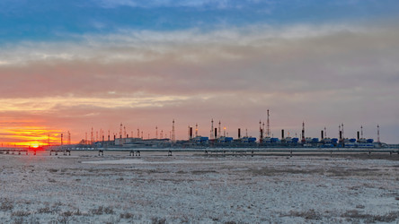 Similar image 21769762