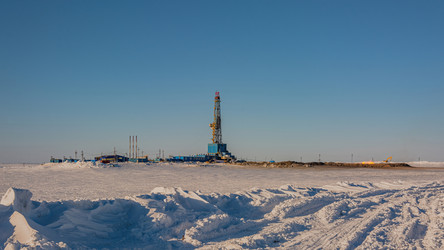 Similar image 21769765