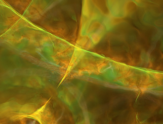 Similar image 21773542