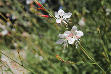 Similar image 21777890