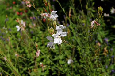 Similar image 21777892