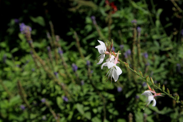 Similar image 21777894