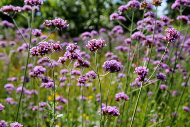 Similar image 21772762