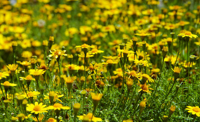 Similar image 21772766