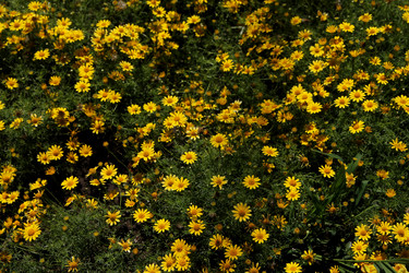 Similar image 21772767