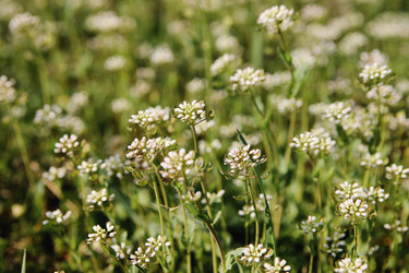 Similar image 21777896