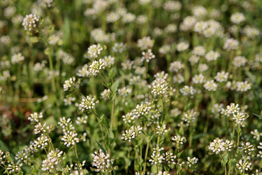 Similar image 21777897