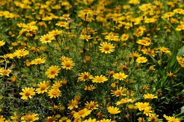 Similar image 21772768