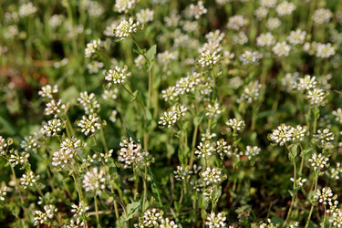 Similar image 21777898