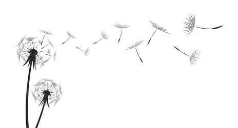 Similar image 21773049