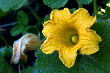 Similar image 21769797