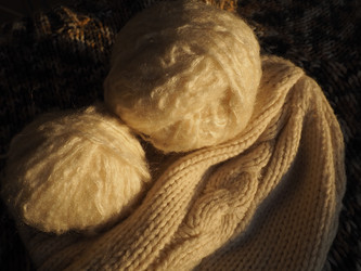 Similar image 21771936