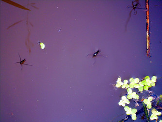 Similar image 21769834