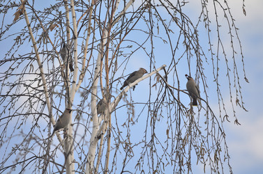 Similar image 21769861