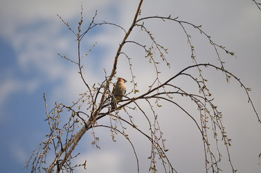 Similar image 21769863