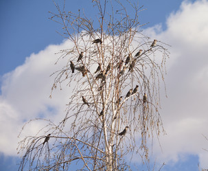 Similar image 21769866