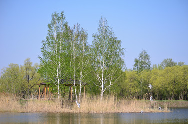 Similar image 21769867