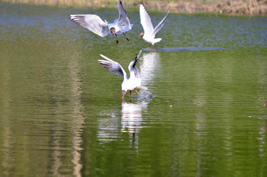 Similar image 21769868