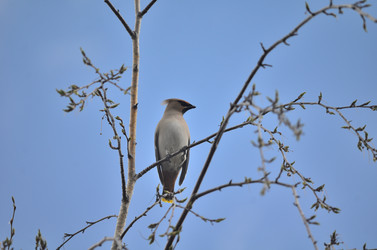 Similar image 21769869