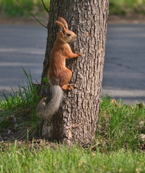 Similar image 21769871