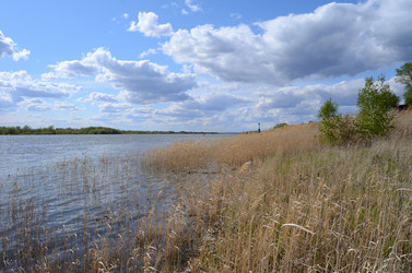 Similar image 21769872