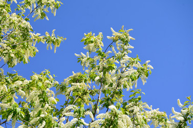 Similar image 21769875