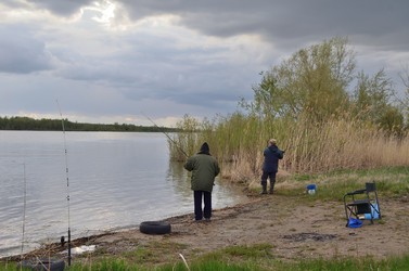 Similar image 21769876