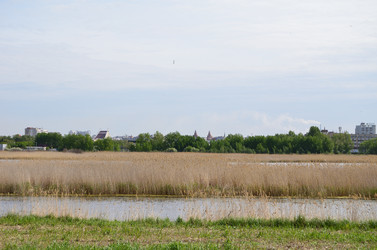 Similar image 21769878