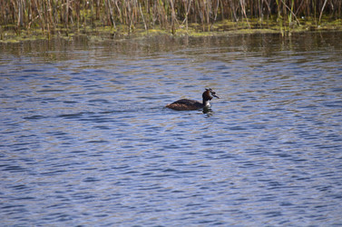 Similar image 21769881