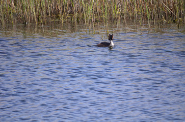 Similar image 21769883