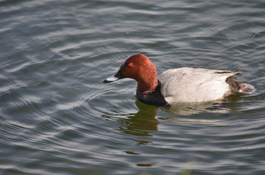 Similar image 21769886