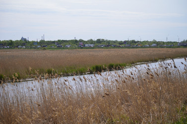 Similar image 21769887