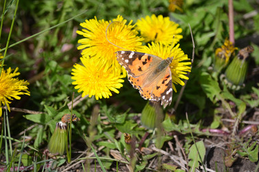 Similar image 21769837